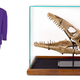 Illustration for article titled Heres your chance to own a dinosaur skull, a fully functioning Roman chariot, and a whole lot of cricket bats—just like Russell Crowe